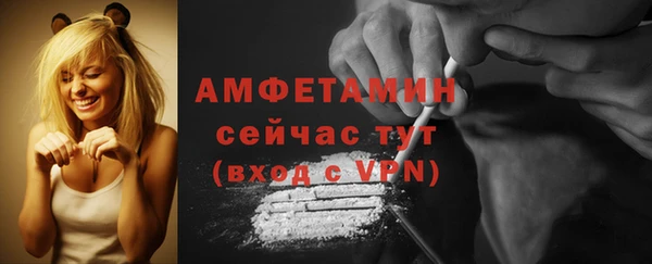 твердый Абаза