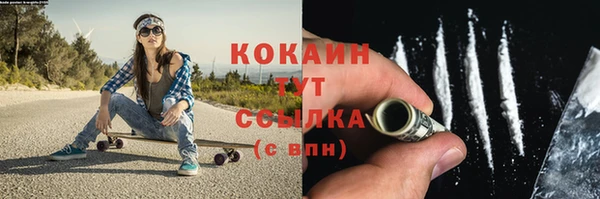 твердый Абаза