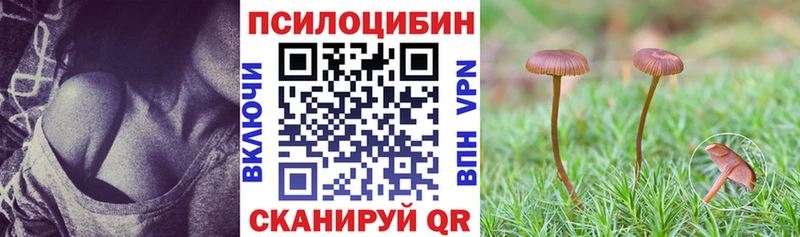 Галлюциногенные грибы Psilocybe  Краснозаводск 